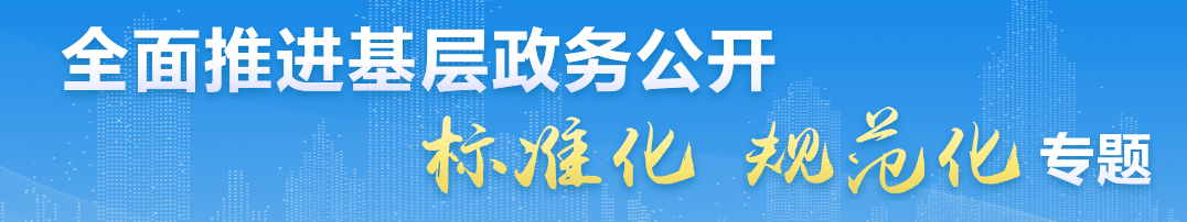 全面推进基层政务公开 标准化规范化专题