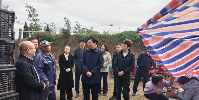 刘生明、师香丽到隆化镇检查“双抢一保”和人大代表联络站点建设工作.png